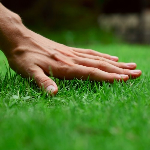 Technician treating a green residential lawn under bright Florida sunshine