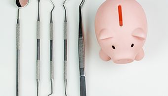 Pig and dental instruments in Jacksonville