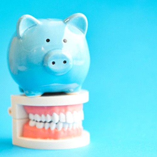 blue piggy bank sitting on model of teeth